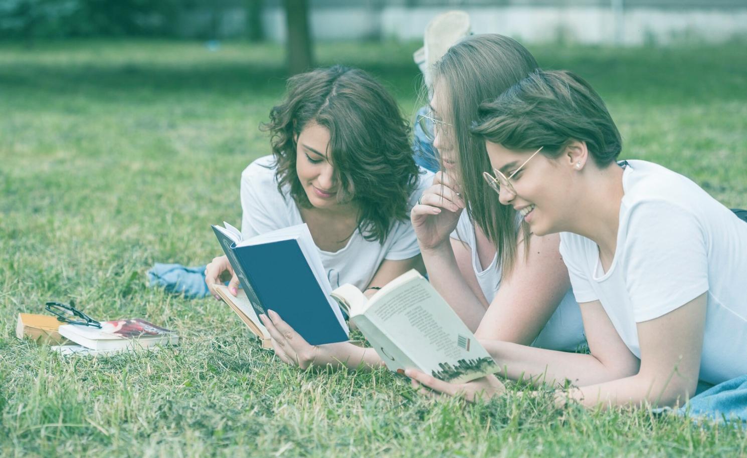 Learning environment for budget communication skills development